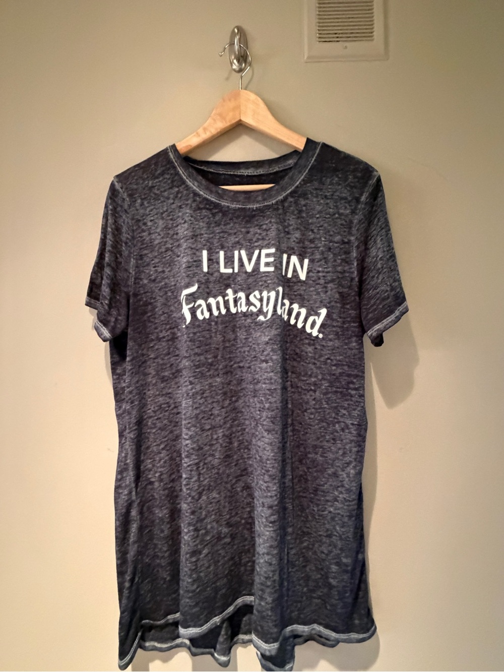 Disney Parks Graphic Burnout Tee "I Live in Fantasyland" - Heather Grey